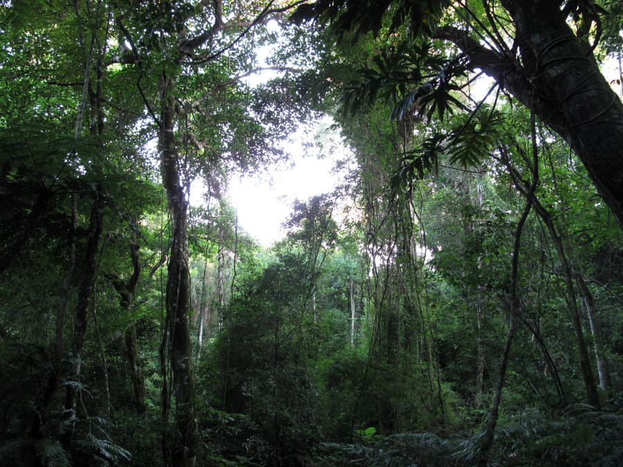 Parque Municipal