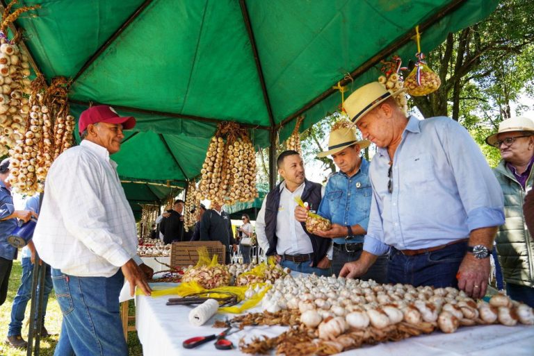 GENERAL  ARTIGAS CELEBRA LA  1.ª EDICION DE LA FIESTA DEL AJO