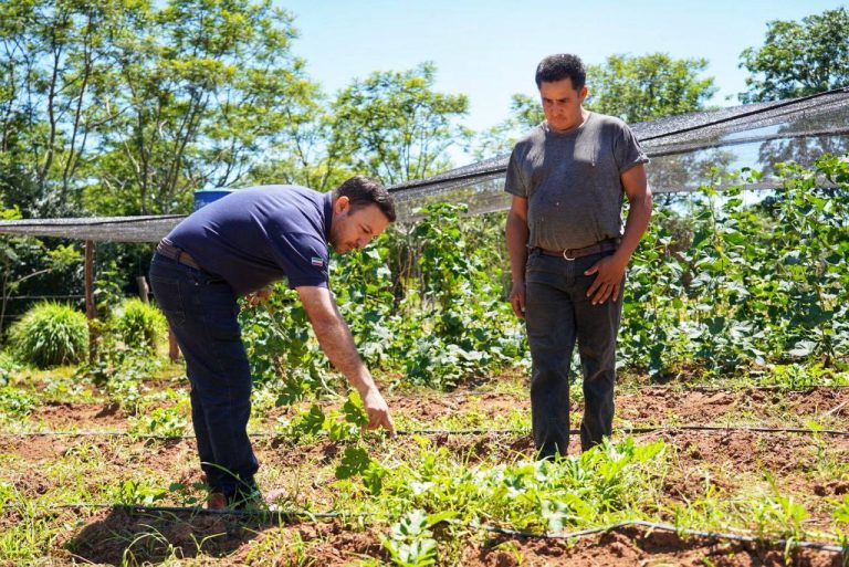 Programa de Agricultura Sostenible – Gobernación de Itapúa e INBIO.