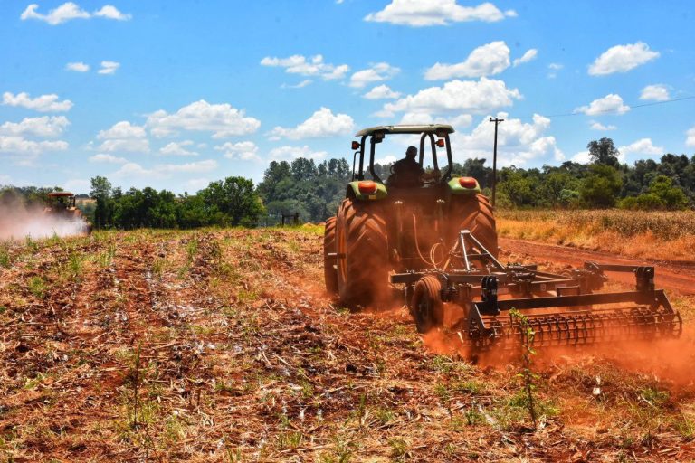 AGRICULTURA SOSTENIBLE Y SEGURIDAD ALIMENTARIA EN CAMBYRETÁ