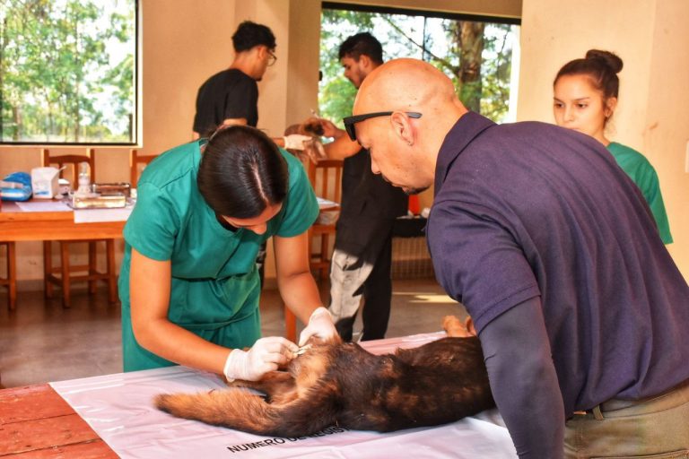 SALUD ANIMAL ES SALUD PÚBLICA